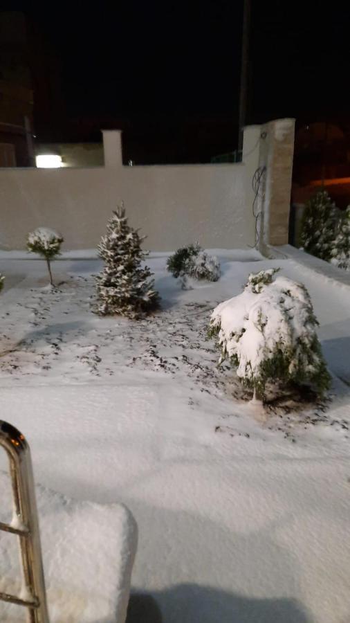 Năvodari Casa Andi 아파트 외부 사진