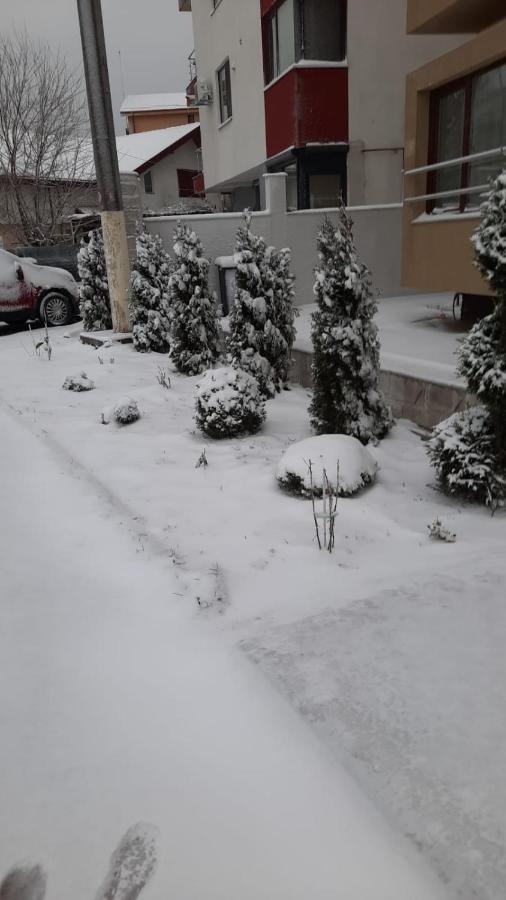 Năvodari Casa Andi 아파트 외부 사진