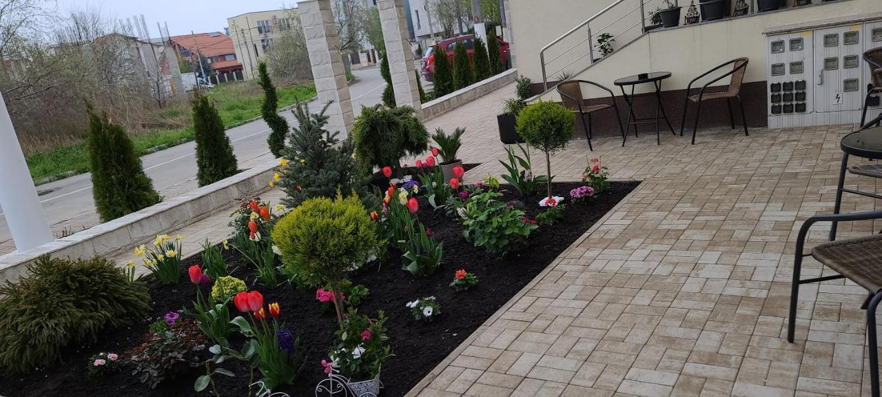 Năvodari Casa Andi 아파트 외부 사진